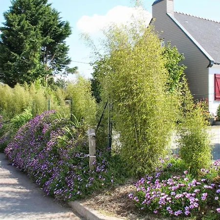 D'hotes * Loperhet